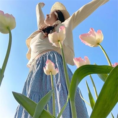 棺姬嘉依卡第二季